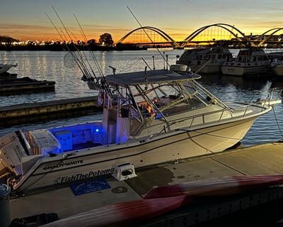 Private Sunset Cruise on the Potomac in Washington, D.C.