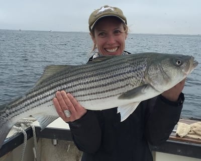 Provincetown Striped Bass & Bluefish Fishing Charter