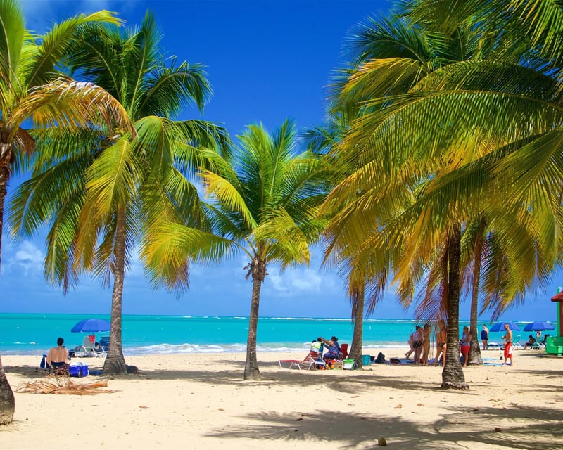 Blue Flag Luquillo Beach Day with Roundtrip Transfer