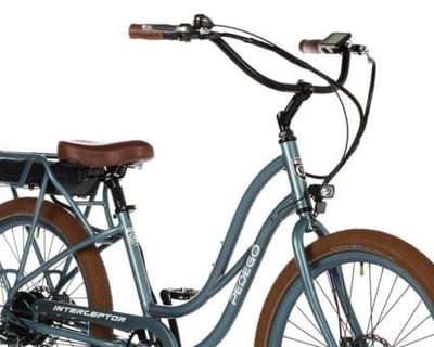 Dunedin Electric Cruiser Bike Rental