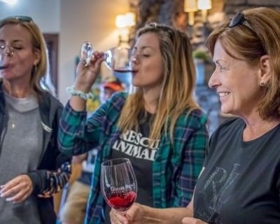 Woodinville Wine Tasting & Snoqualmie Falls Tour