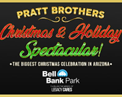Phoenix Christmas Light Charter