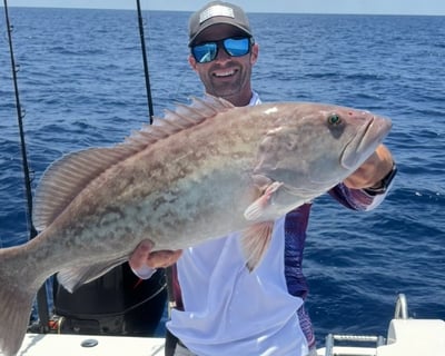 8-Hour Offshore Fishing Charter Anna Maria Island