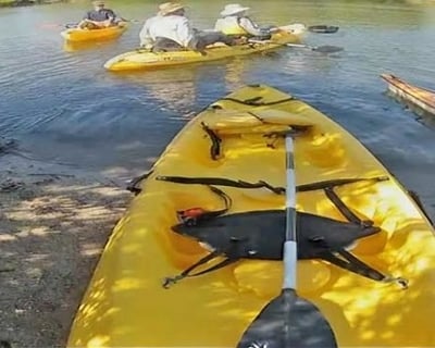 4-Hour Kayak & Paddleboard Rental at Manatee Cove