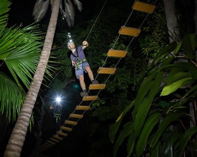 Aerial Trek at Jungle Island After Dark