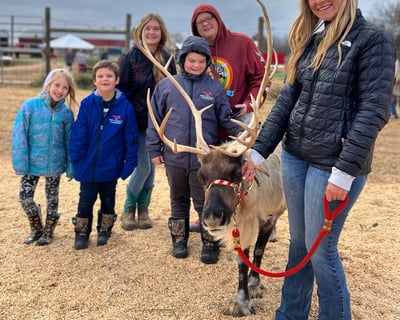 Reindeer Encounter in Bowling Green