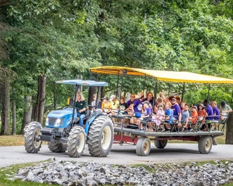 Safari Wagon Ride & Animal Feeding at Atlanta Safari Park