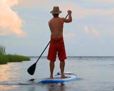 2-Hour Paddleboard Tour at Pine Island Audubon Sanctuary