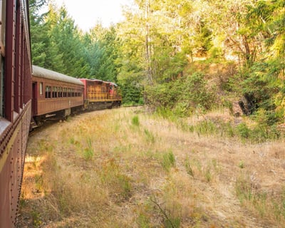 Wolf Tree Turn Scenic Train from Willits