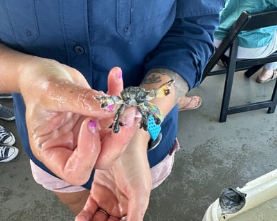 Lewes Junior Naturalist Cruise