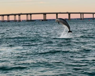 Destin Boat Ride with Cruise Destin Bay