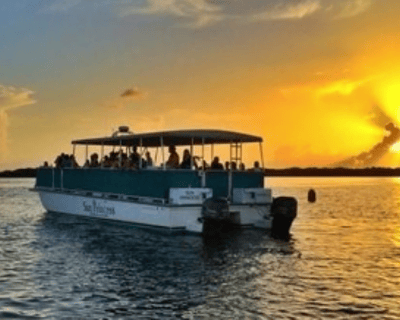 Christmas Eve Dolphin Cruise in Fort Myers Beach