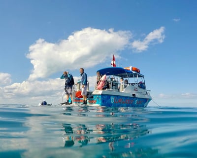 2-Tank Scuba & Snorkel Trip in Key Largo