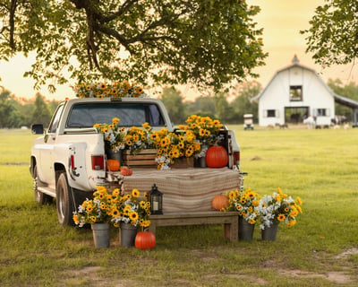 Seasonal Truck Photo Session in Tomball