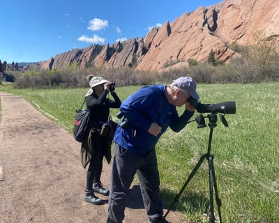Hike Red Rocks & Soak at Indian Hot Springs