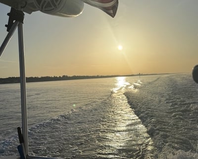 Destin Dolphin & Donut Morning Cruise