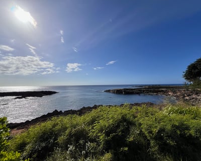 Two-Tank Reef Dive on Oahu's West Side