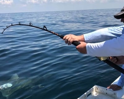 Inshore Fishing Charter in Pensacola