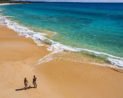 Private Oahu Island Guided Tour (5-6 Hours)