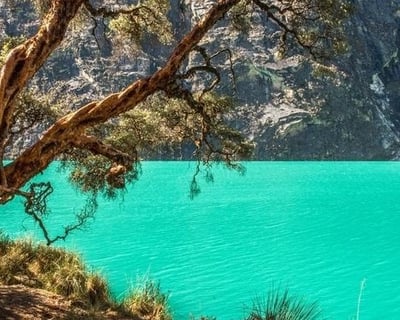 5-Hour Guided Hiking Tour in Yellowstone
