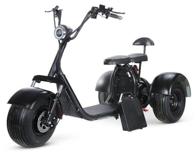 Fat Tire 3-Wheel Electric Scooter Rental in Boston
