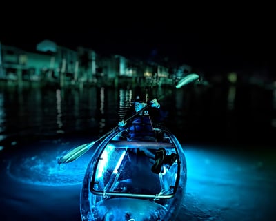 LED Night Kayaking Tour on Clearwater Beach