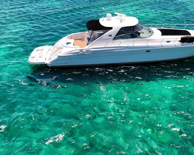 Morning Snorkeling Charter in Turks & Caicos
