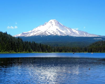 Full Day Gorge Waterfalls and Mt. Hood Tour