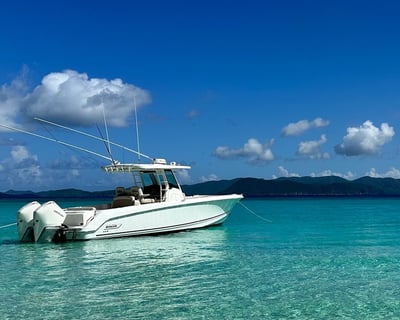 4-Hour Private Snorkeling Charter in St. Thomas