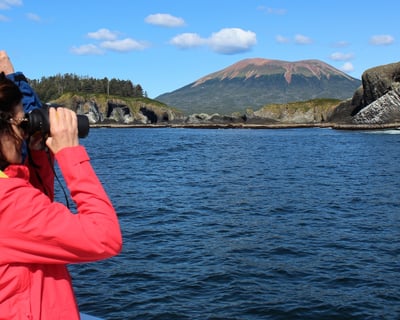 Wildlife Photography Charter in Sitka