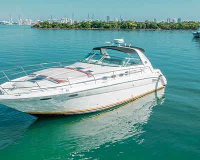 Cruise Miami Skyline & Swim Crystal Lagoons