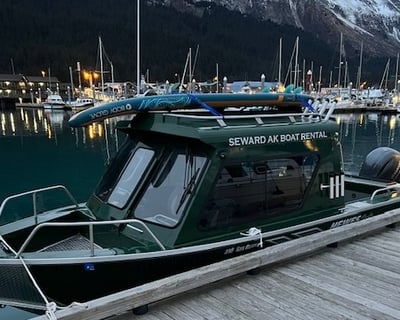 4-Hour Resurrection Bay Charter