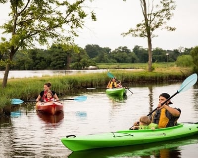 Little Blackwater River Kayak Rental
