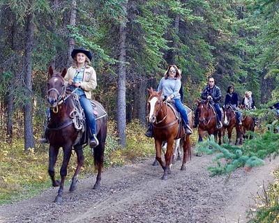 Cedar Point Guided Horseback Trail Ride