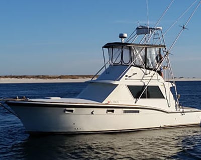 Fishing Charter on a 38' Hatteras in Orange Beach