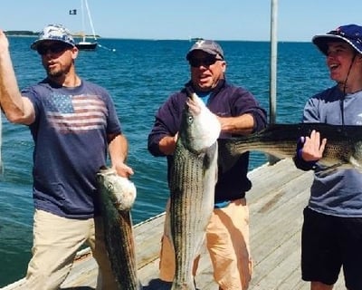Harwich 4-Hour Private Inshore Fishing Charter