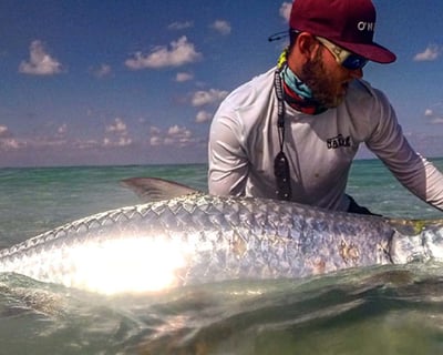 St. Petersburg 8-Hour Tarpon Fishing Charter