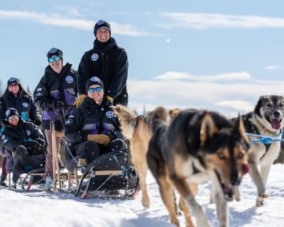 Traditional Dog Sled Ride in Willow