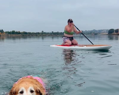 Dog Swim Lesson On Paddleboards In San Diego