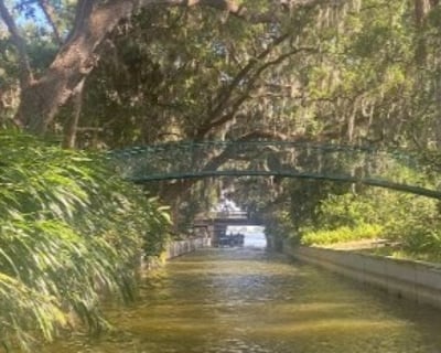 Winter Haven 4-Hour Pontoon Cruise With Lunch Stop
