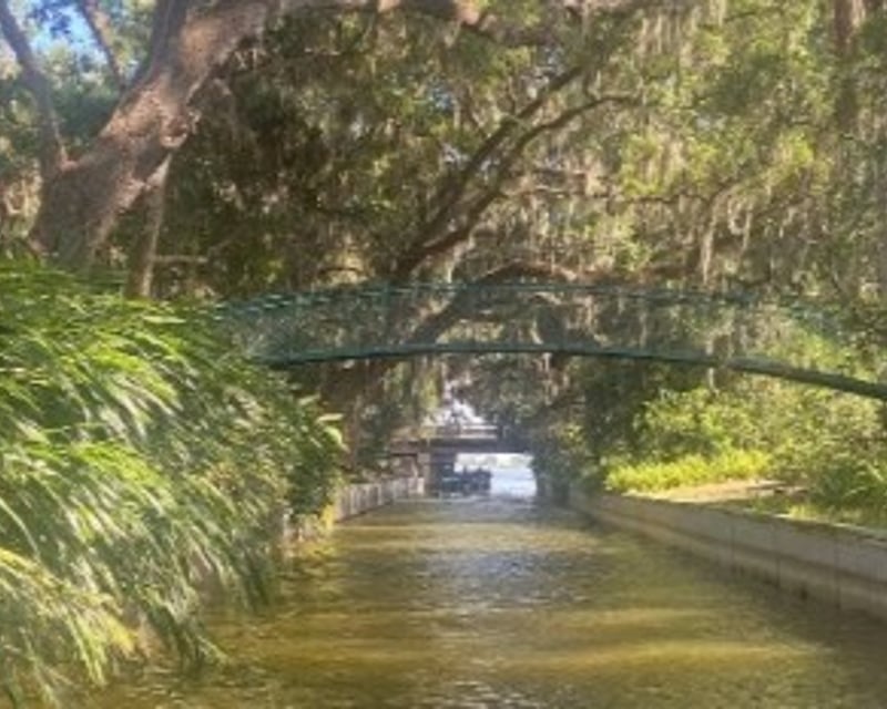 Winter Haven 4-Hour Pontoon Cruise With Lunch Stop
