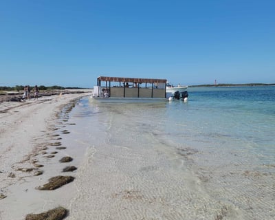 6-Hour Fishing Charter in Tarpon Springs