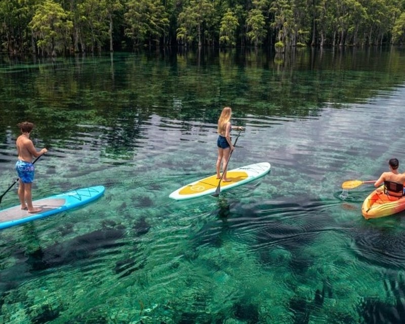 Springs Kayak & Snorkel Tour on Merritts Mill Pond