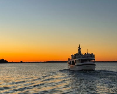 90-Minute Lowcountry Sunset & Dolphin Cruise