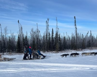 Big Lake Guided Dog Sled Tour From Anchorage