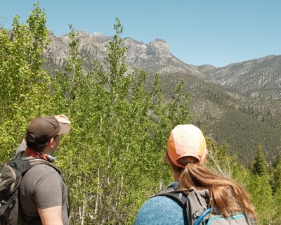 Morning Hiking Tour in Mt. Charleston