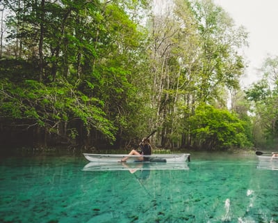 Guided Clear Kayak Tour in Fort White