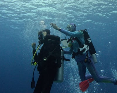 Underwater Navigation Diver Certification in Honolulu