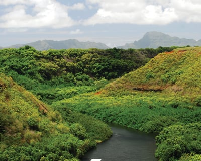 Tour Waimea Canyon & Wailua River Cruise in Kauai