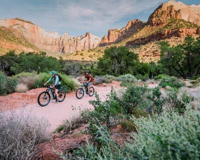 1-Day E-Bike Rental in Springdale